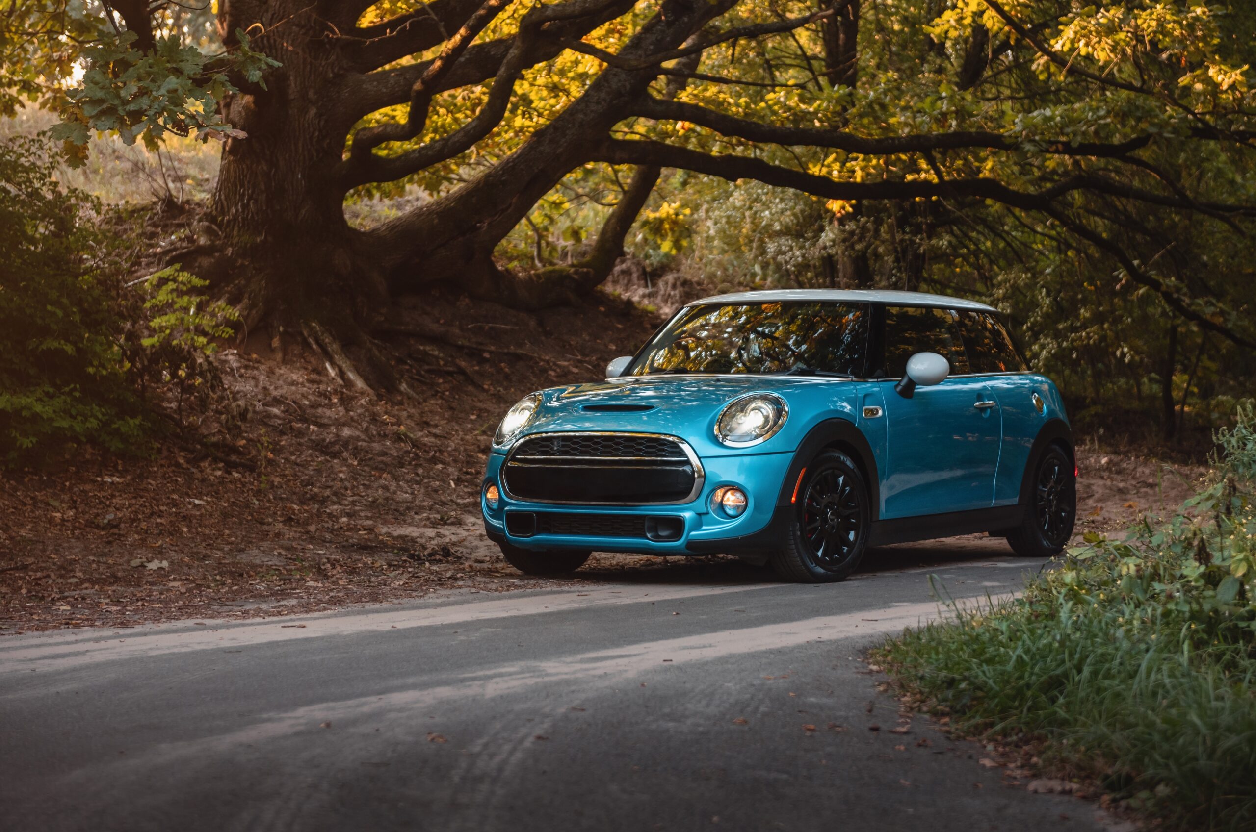 Blue Mini Cooper in autumn forest at sunset
