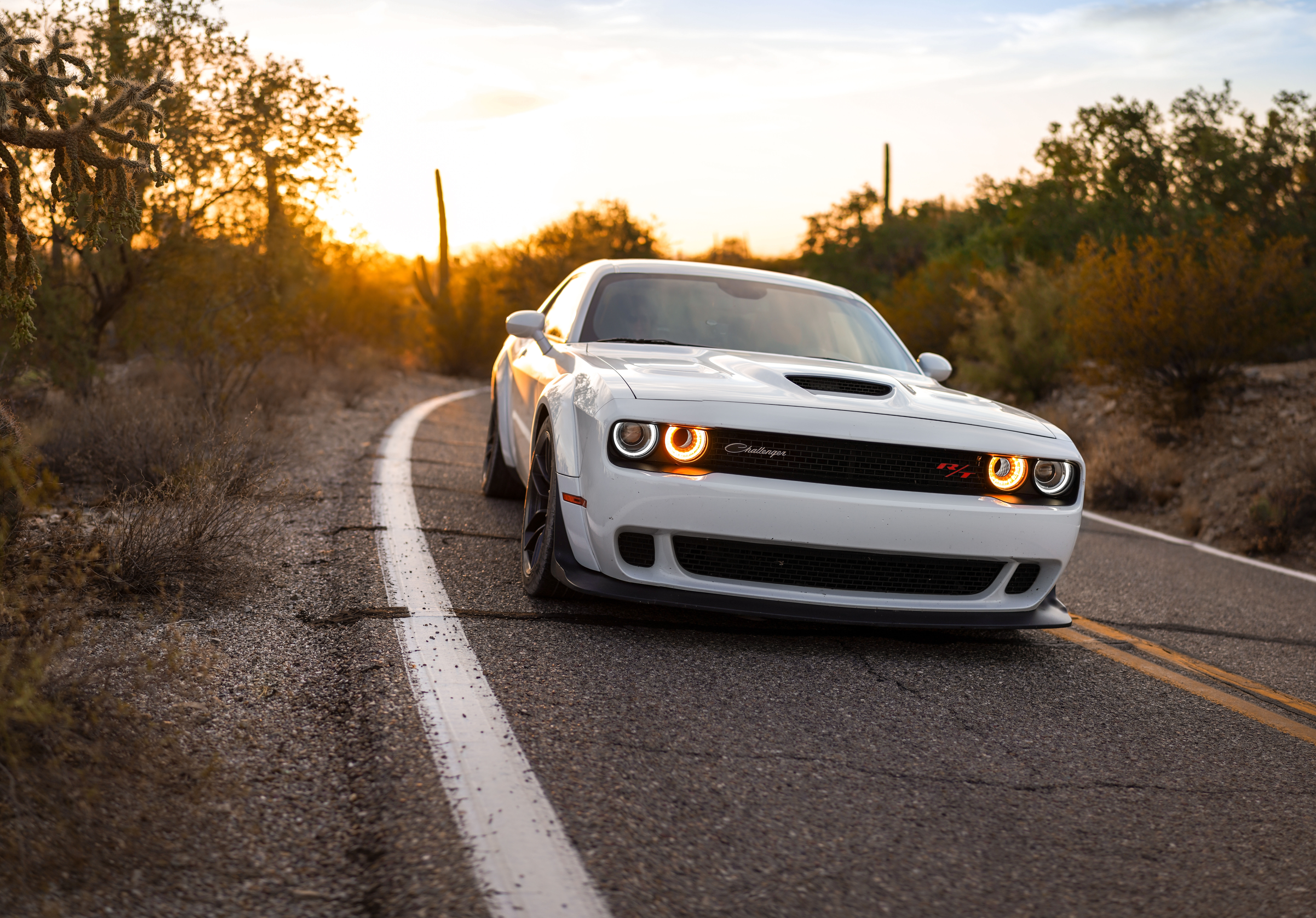 Dodge Challenger on the road