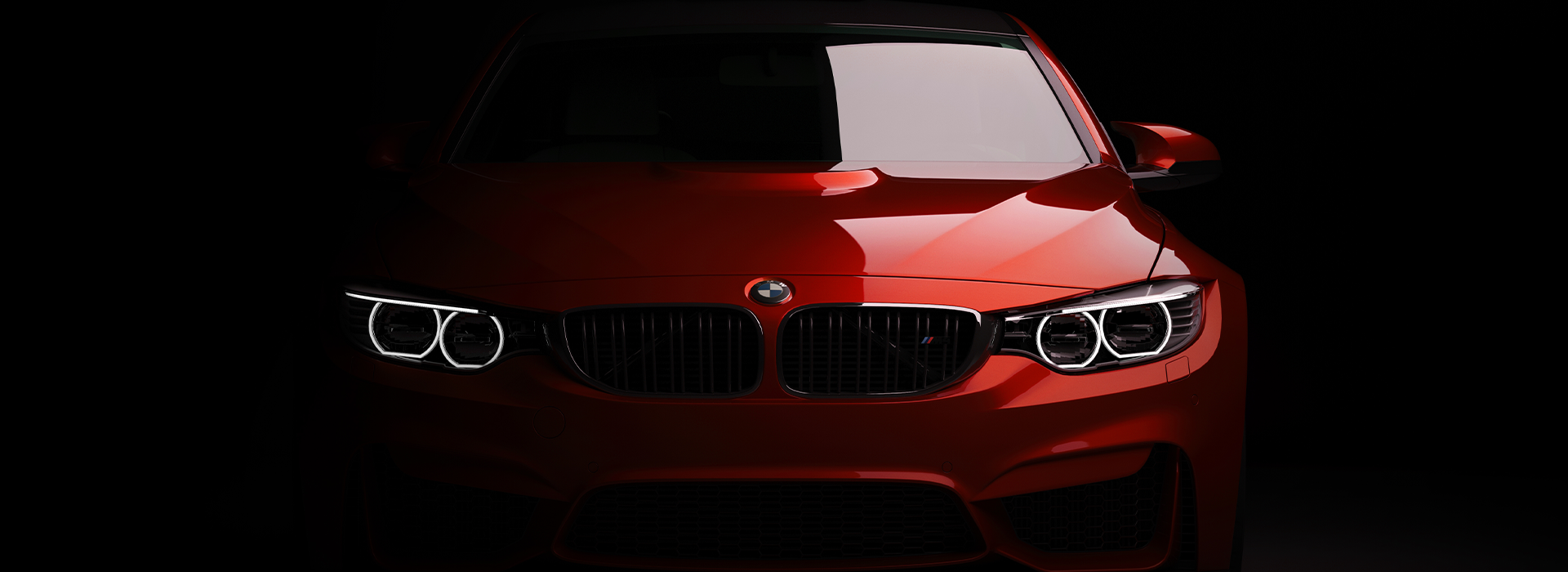 BMW logo on the front of a car