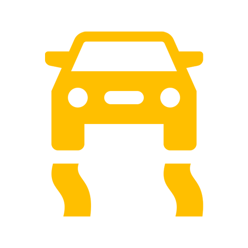 Traction Control System Warning Icon